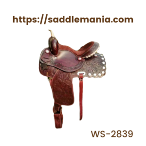 WS-2839-F