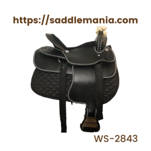 WS-2843-F