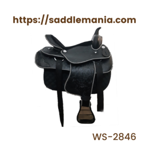 WS-2846-F