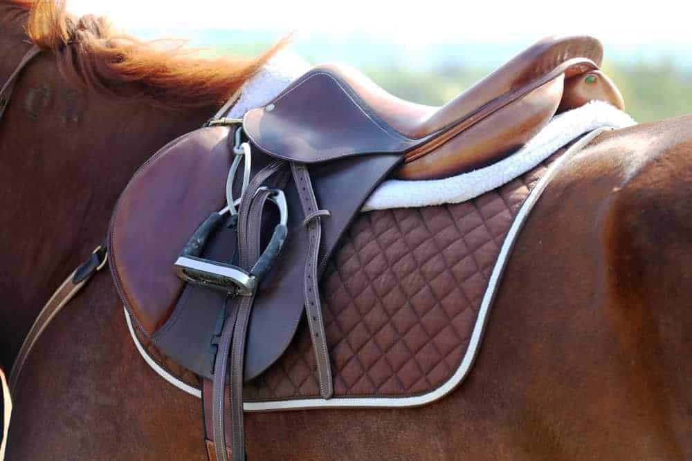 saddles for sale ontario