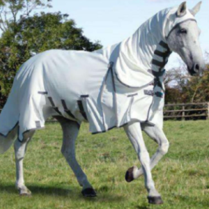Horse Fly Rugs